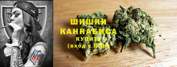 ГАЛЛЮЦИНОГЕННЫЕ ГРИБЫ Нязепетровск