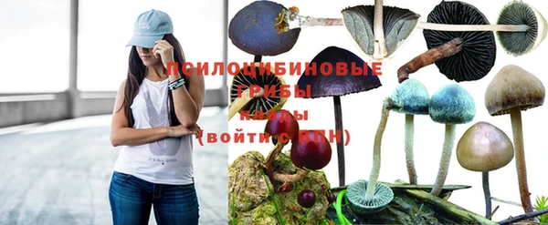 ешки Нягань
