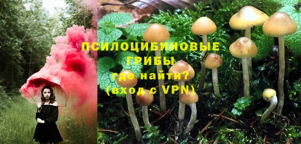 ГАЛЛЮЦИНОГЕННЫЕ ГРИБЫ Нязепетровск