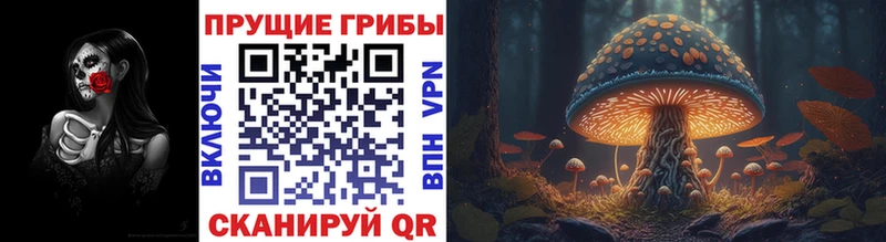 Купить где  Тюкалинск  Псилоцибиновые грибы прущие грибы 